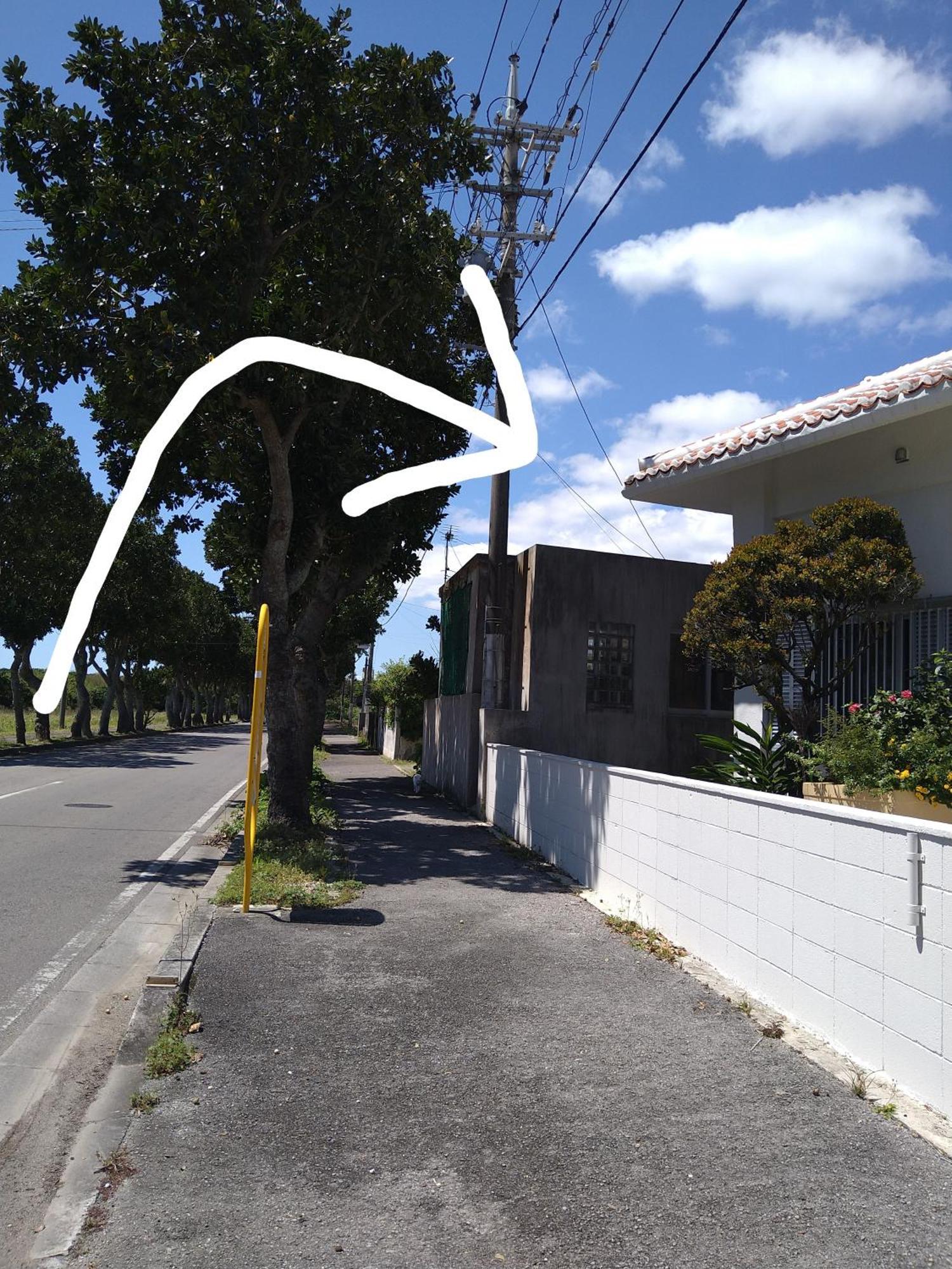 Minshuku Zabaru Hostel Ishigaki  Bagian luar foto