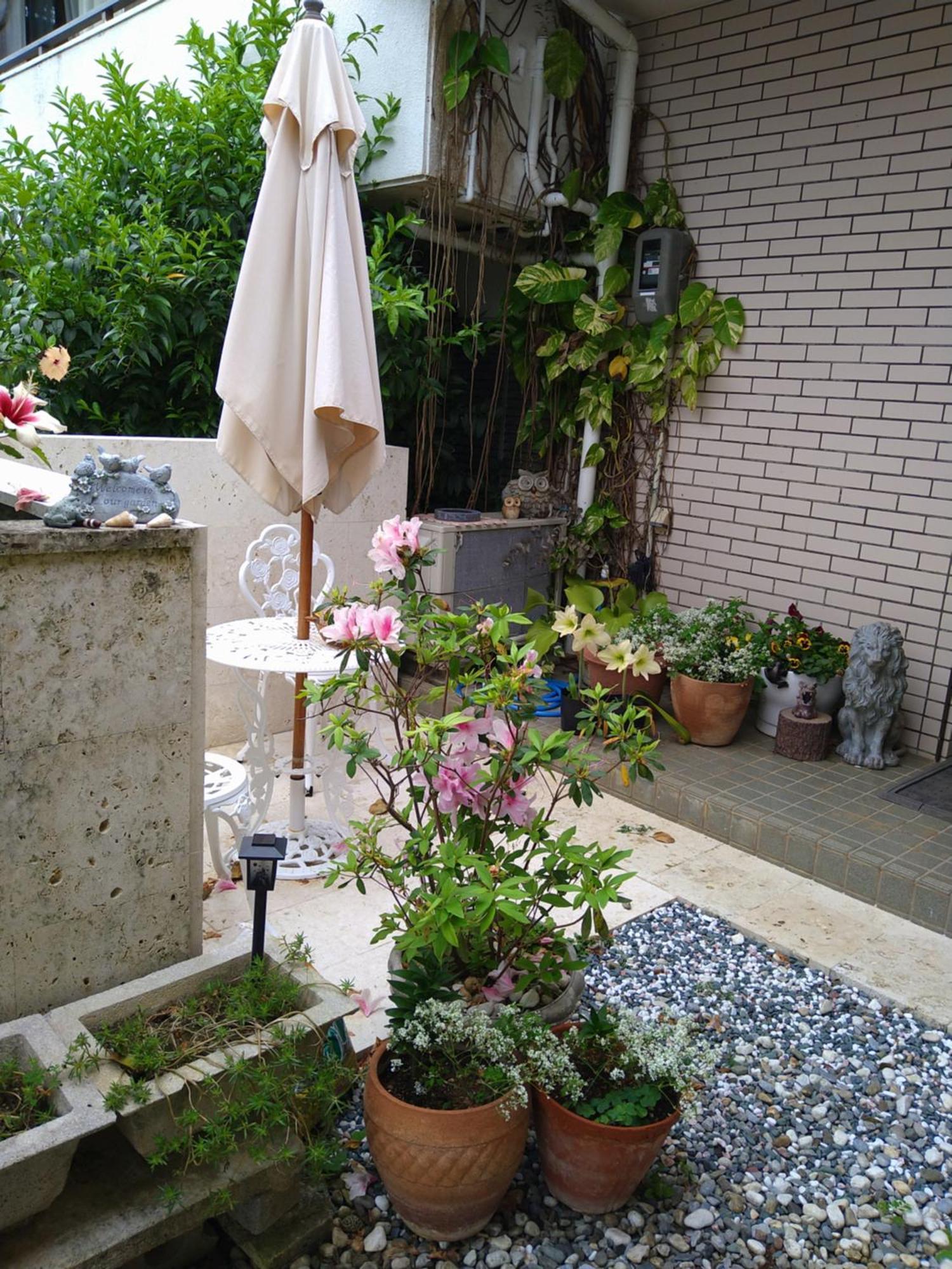 Minshuku Zabaru Hostel Ishigaki  Bagian luar foto