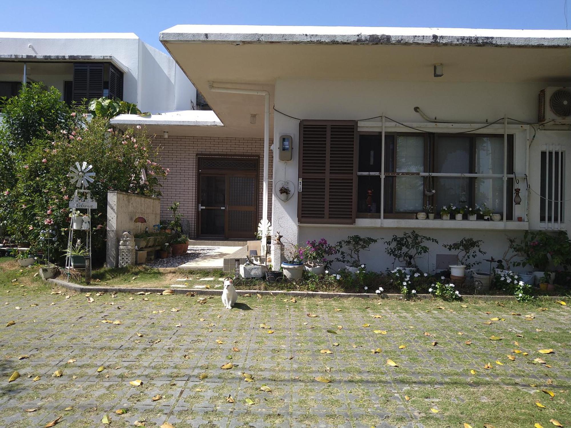 Minshuku Zabaru Hostel Ishigaki  Bagian luar foto