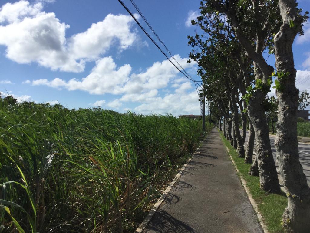 Minshuku Zabaru Hostel Ishigaki  Bagian luar foto